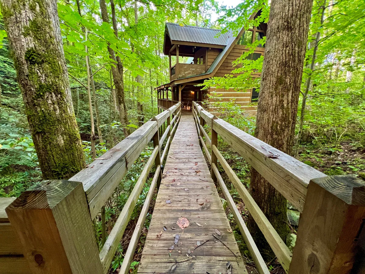 The image portrays a wooden walkway leading up to the log cabin, bordered by abundant greenery that evokes the serene mountain setting. The approach hints at peaceful sunset walks, wildlife sightings, and the adventure that awaits both at the property and nearby attractions.